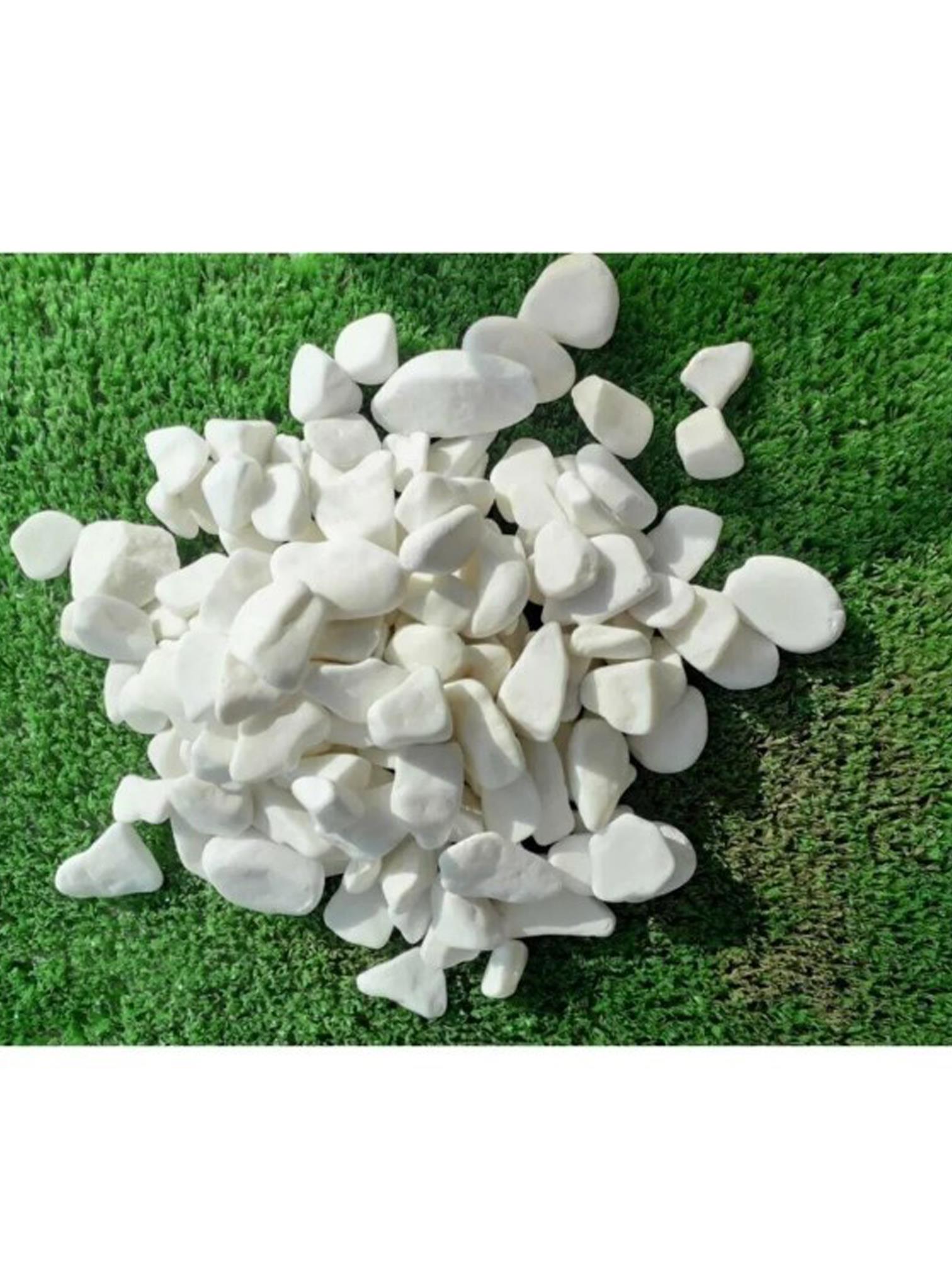 AHS Beyaz Dolomit Taş 3 Kg 2-4 Cm Dere Çakıl Taşı Bahçe Peyzaj Süs Taşı Saksı Teraryum Akvaryum Taşı AHS Beyaz Dolomit Taş 3 Kg 2-4 Cm Dere Çakıl Taşı Bahçe Peyzaj Süs Taşı Saksı Teraryum Akvaryum Taşı