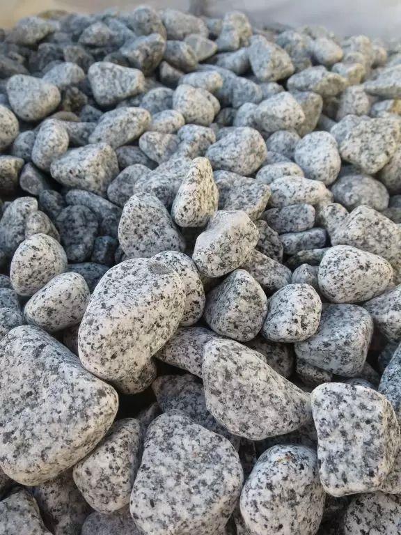AHS Doğal Granit Gri Dolomit Taşı 25 Kg 1-3 Cm Dere Çakıl Bahçe Peyzaj Saksı Teraryum Akvaryum Taşı AHS Doğal Granit Gri Dolomit Taşı 25 Kg 1-3 Cm Dere Çakıl Bahçe Peyzaj Saksı Teraryum Akvaryum Taşı