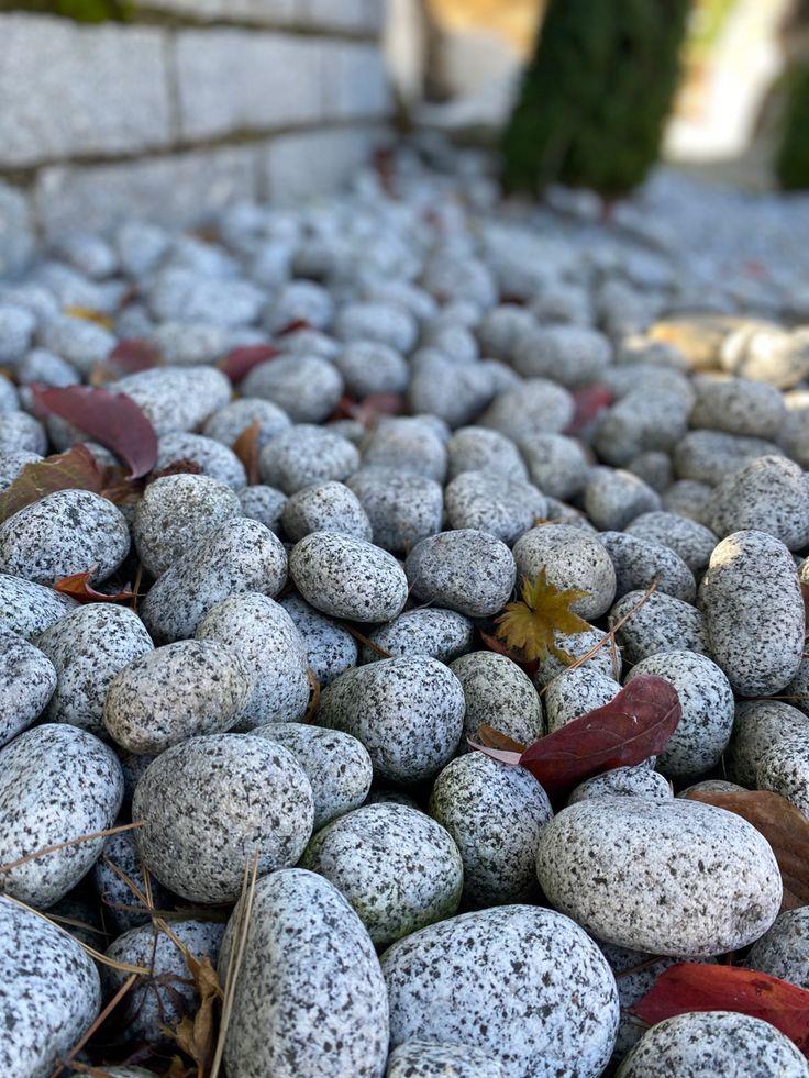 AHS Doğal Granit Gri Dolomit Taşı 20 Kg 4-8 Cm Dere Çakıl Bahçe Peyzaj Saksı Teraryum Akvaryum Taşı AHS Doğal Granit Gri Dolomit Taşı 20 Kg 4-8 Cm Dere Çakıl Bahçe Peyzaj Saksı Teraryum Akvaryum Taşı